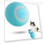 Electric Ball Toys for Dogs or Cats — Automatic Launchers, FYUU-autoparts