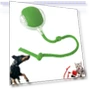 Self-Rolling Smart Cat Toy Ball — Cat Playthings, Manjie