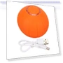 Smart Interactive Cat Ball — Cat Playthings, Health & Beauty PRODUCT