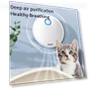 Smart Odor Eliminator for Pet Litter — Odor Removers, Household supplies MH