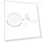 Water Leak Detector — Water Leak Detection Systems, Neoglint