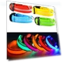 Glowing LED Dog Collar — Collars, AI Market