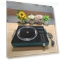 Induction Cooktop — Cooking Surfaces, guangchang01