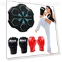 Smart Music Boxing Machine — Boxing Training Gear, Alex xiaoyu