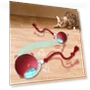 Interactive Pet Toy Ball — Balls, GentlePaws