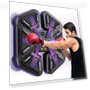 Smart Musical Boxing Trainer — Boxing Training Gear, Home Spuare