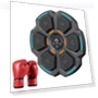 Smart Musical Boxing Trainer — Boxing Training Gear, Ausway1