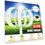 1600W 12V/24V Wind Turbine Generator — Renewable Energy Solutions, The Romantics