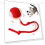 Automatic Electric Rolling Ball — Cat Playthings, Photography