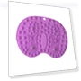 Touch Mat — Floor Games, Closet of Beauty