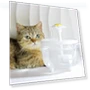 Automatic Water Fountain with Filter — Fountains, GYROBALL