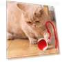 Interactive Pet Toy — Cat Playthings, Luminaire Lighting Mall