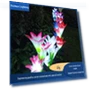 Waterproof LED Garden Light with Lilies — Outdoor Security & Flood Lighting, AI Supermarket