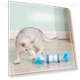 Electric Cat Funny Wand Toy — Cat Playthings, Pet family bucket