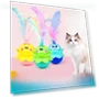 Electric Tumbler Feather Automatic Cat Toy — Cat Playthings, Pet family bucket