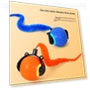 Interactive Cat Toy — Cat Playthings, IKEA Supermarket