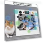 Portable Smart Hair Dryer for Pets — Dryers & Accessories, Rainbow Rain
