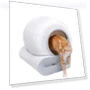 Self-Cleaning Smart Cat Litter Box — Waste Bins, Rainbow Rain