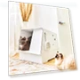 Smart Cat Litter Box — Waste Bins, Rainbow Rain