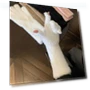 Winter Gloves — Gloves, TYU01