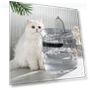 Automatic Circulating Water Dispenser for Cats — Pet Hydration Solutions, Pet family bucket