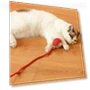 Automatic Rolling Ball Pet Toy with Artificial Tail — Cat Playthings, Optimized General