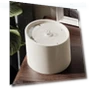 Automatic Water Dispenser for Cats — Pet Hydration Solutions, Pet family bucket