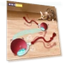 Interactive Cat Toy Ball — Cat Playthings, WIKHOSTAR