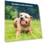 Interactive Pet Ball — Automatic Launchers, All in Watch