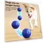 LED Rolling Ball for Pets — Cat Playthings, Outdeer