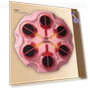 Musical Boxing Target with Light Effect — Boxing Training Gear, Sports Accessory