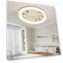 Smart Ceiling Fan with Light — Ceiling Fans, Build My Home
