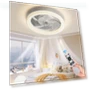 Smart Ceiling Fan With Lights — Ceiling Fans & Accessories, Luminaire Lighting Mall