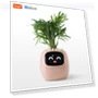 Smart Flower Pot for Pink Ivy — Artificial Plants, Build My Home