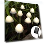 Solar Mushroom String Lights — Outdoor String Lights, Luminaire Lighting Mall