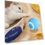 USB Rechargeable Smart Interactive Cat Toy Ball — Cat Playthings, Super Star Mall