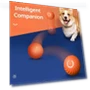 Automatic Moving Dog Toy Ball — Automatic Launchers, 888 Auto Parts Town