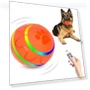 Interactive Smart Ball for Pets — Balls, Build My Home