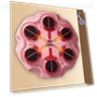 Musical Boxing Target with Light Effect — Boxing Training Gear, Yousheng Electronic Products