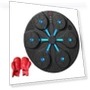 Smart Musical Boxing Trainer with Gloves — Boxing Training Gear, Build My Home