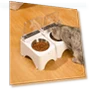 Smart Pet Feeder Bowl — Automatic Feeders, Build My Home