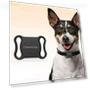 Waterproof GPS Pet Tracker — Trackers, Build My Home
