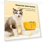 Automatic Filter Cat Water Fountain — Fountains, AE Selection