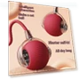 Automatic Interactive Cat Toy — Cat Playthings, Perfect Life 168