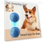 Interactive Pet Toy Ball — Cat Playthings, GYROBALL