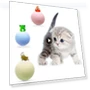 Interactive Smart Ball for Cats — Cat Playthings, Simplistic Living Home