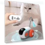 Interactive Smart Toy for Cats — Interactive Animal Companions, GYROBALL