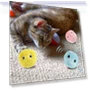 Smart Cat Toys Set — Cat Playthings, GYROBALL