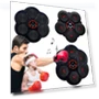 Smart Music Boxing Trainer — Boxing Training Gear, GYROBALL