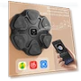 Smart Musical Boxing Trainer — Boxing Training Gear, Wrigleys